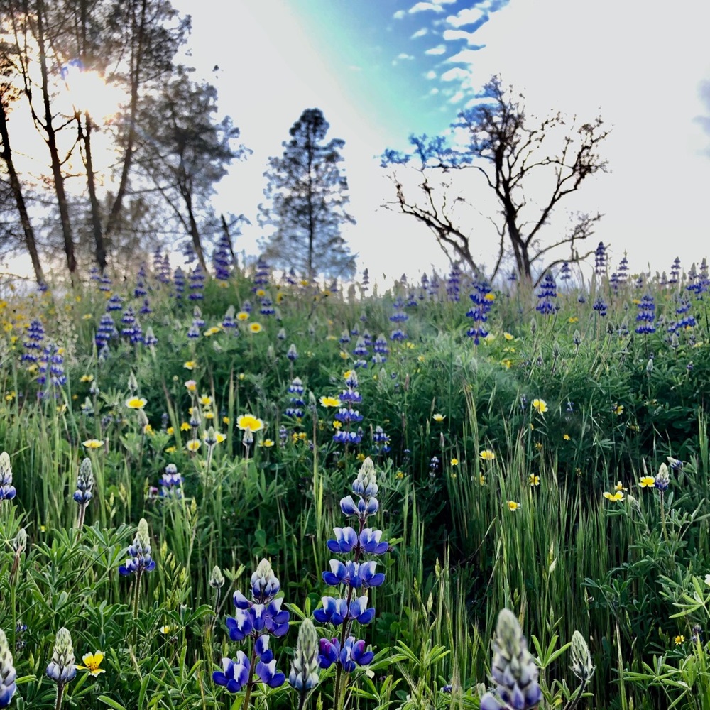 Meet your Posher, Clynn